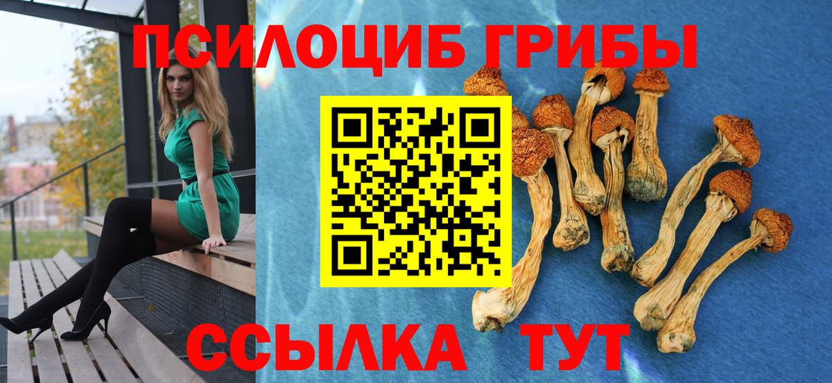 Галлюциногенные грибы ЛСД  Вход с VPN  Мценск  Галлюциногенные грибы Psilocybine cubensis 